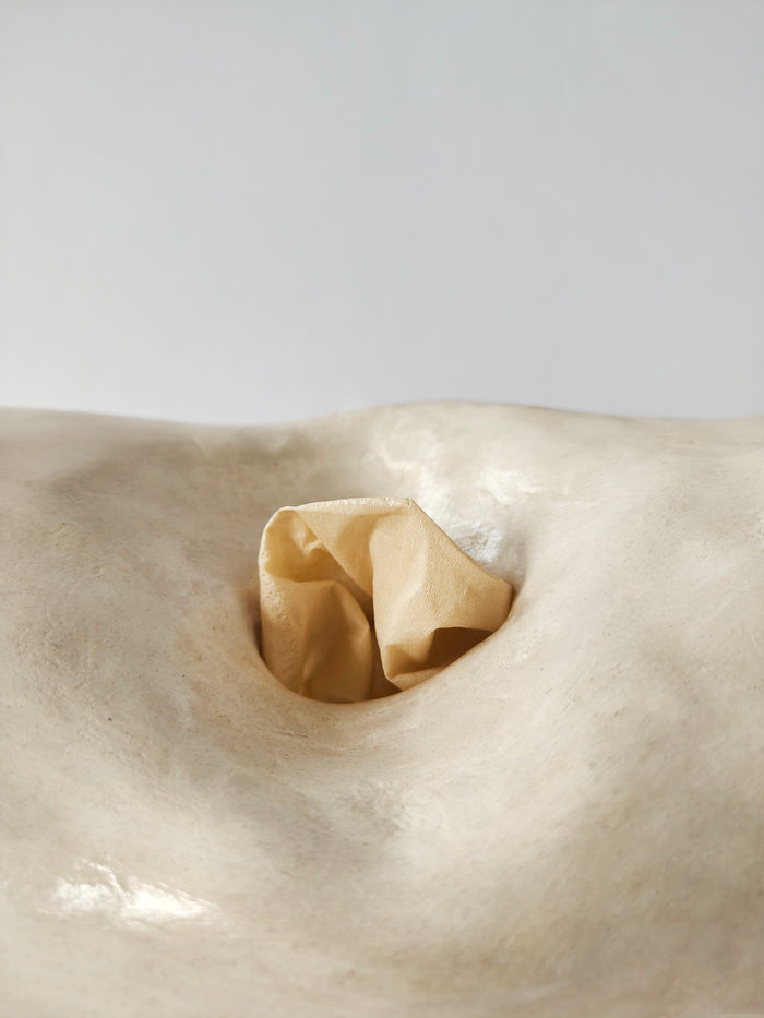 Collectibles — Lifestyle